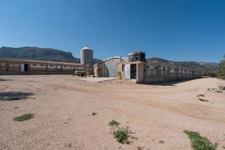 Rural plot in Partida pandorga 2. Granja de pollos activa