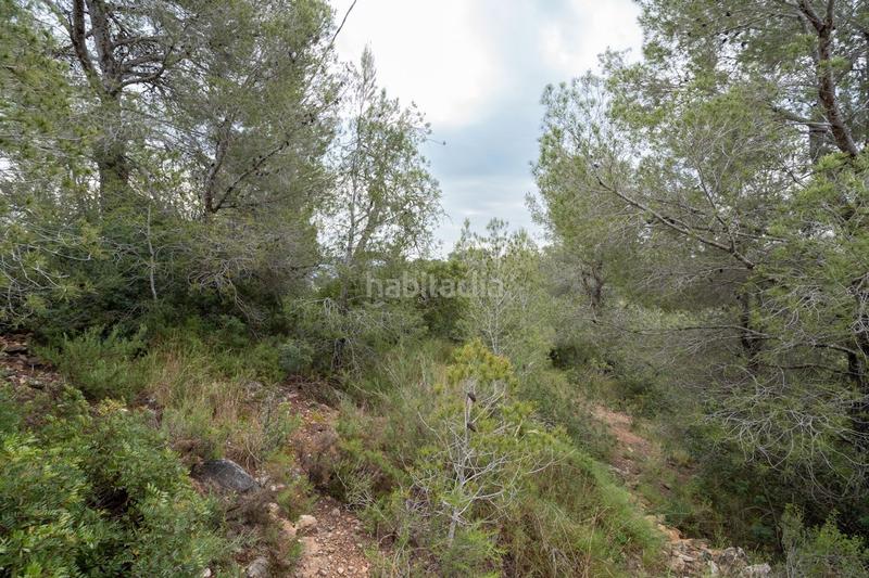 Foto 8a2cceac-c200-47d2-b04f-dc8e58b0a2c5. Landgut in camí dels canalets 2 in Jesús - Els Reguers Tortosa