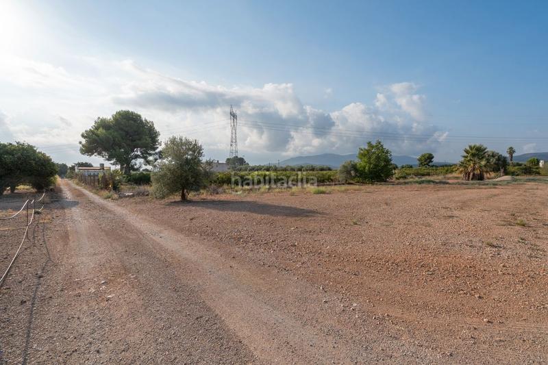 Foto d22b23e7-7672-459d-8d52-13df84b5535f. Finca rústica a vial camino 11 a Masdenverge