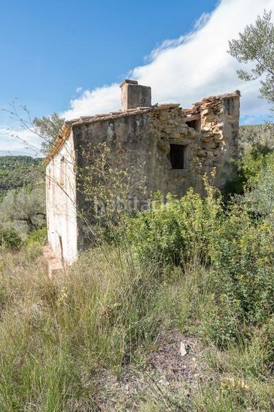 Foto 71637cac-c823-48cc-a296-e1f288e6a7c4. Finca rústica a rambla felip pedrell 50 a Centre Tortosa