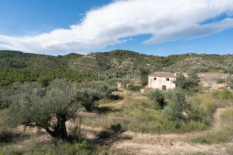 Foto a10154bf-a75a-4099-b207-23e66664ad79. Finca rústica a rambla felip pedrell 50 a Centre Tortosa