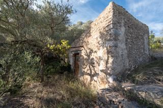 Finca rústica a Urbanització torre gassia 57. Finca rústica de olivos con gran pendiente y posibilidad de agua