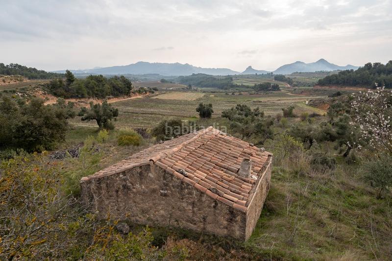 Foto 161cc1f1-89d6-4fb4-9ed9-7b9bbd28a7fa. Masia a carrer de caseres 24 a Bot