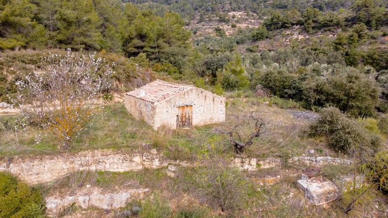 Foto 3d8901dd-0d0a-4ef1-bcc0-8fbf430ec749. Masia a carrer de caseres 24 a Bot