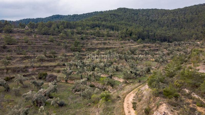 Foto e16af33f-a2ad-46c8-9555-52ce3aa5c2b6. Masia a carrer de caseres 24 a Bot