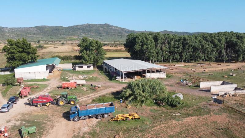 Foto 04d55168-ae15-4d11-a6b1-6882d2dbc0bc. Finca rústica a tv-3313 137 a Ulldecona