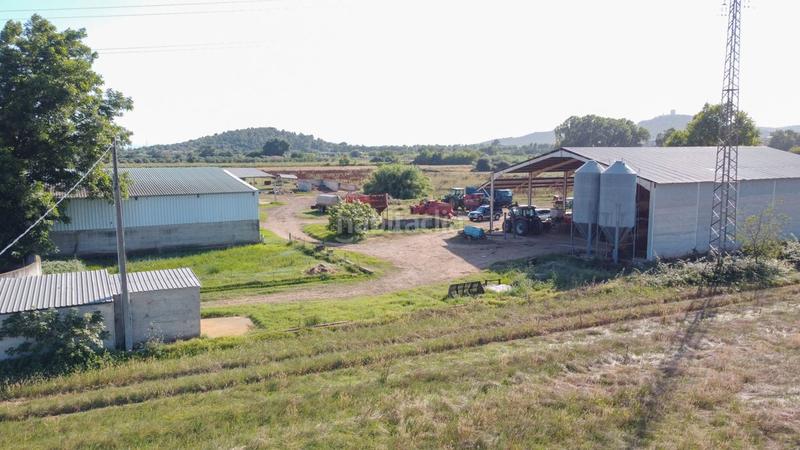 Foto 519dcfb4-0054-4698-97f9-1ebfb8b1655c. Finca rústica a tv-3313 137 a Ulldecona