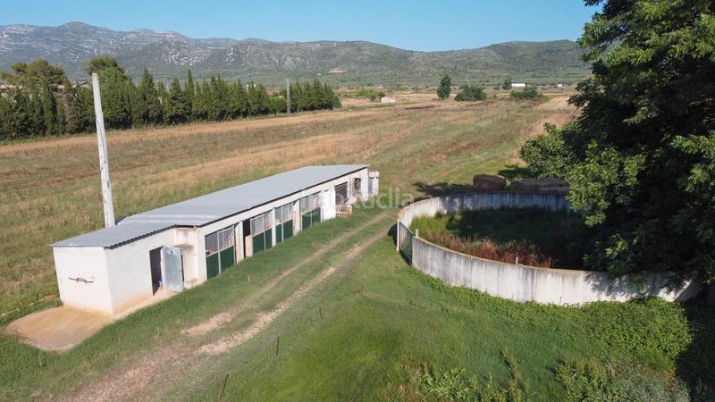 Foto 68ac3493-6ead-42aa-bda3-f81ae2132039. Finca rústica a tv-3313 137 a Ulldecona