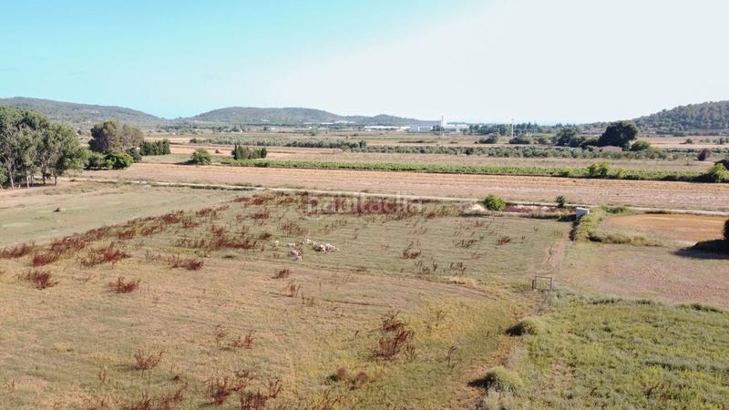 Foto 6ba49d44-57a9-41bb-a3f2-1c410bef12bb. Finca rústica a tv-3313 137 a Ulldecona