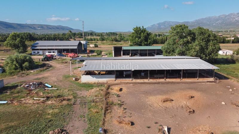 Foto 7c423109-2c22-482f-9e81-3224fd34da44. Finca rústica a tv-3313 137 a Ulldecona