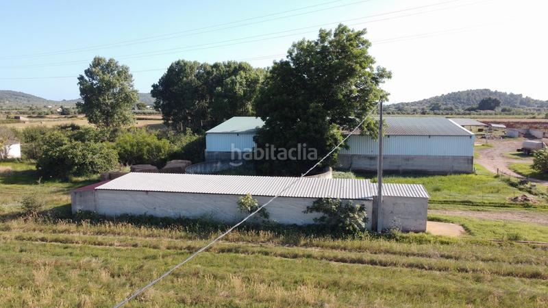 Foto 9f38d16a-8a29-42a8-8b31-5dcbfc7cad6e. Finca rústica a tv-3313 137 a Ulldecona