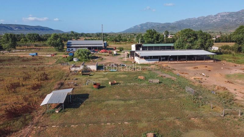 Foto 9fa2407c-1009-4a5e-9eb8-72e441ee8934. Finca rústica a tv-3313 137 a Ulldecona