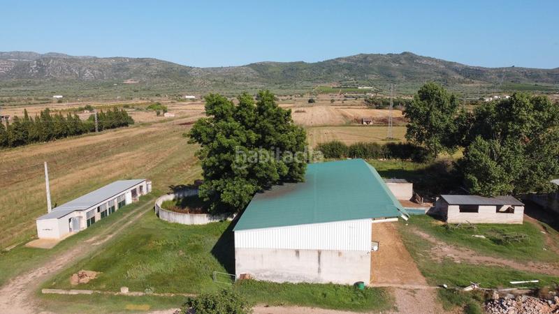 Foto b93ef657-ac1d-480d-9b64-bee2a1f99668. Finca rústica a tv-3313 137 a Ulldecona