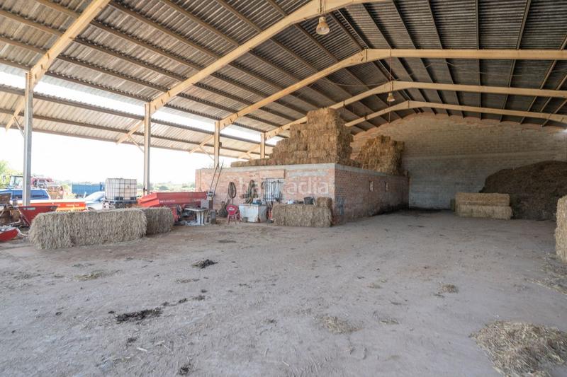 Foto cc33379d-b48e-45f2-a3a2-e5cbe5a1105c. Finca rústica a tv-3313 137 a Ulldecona