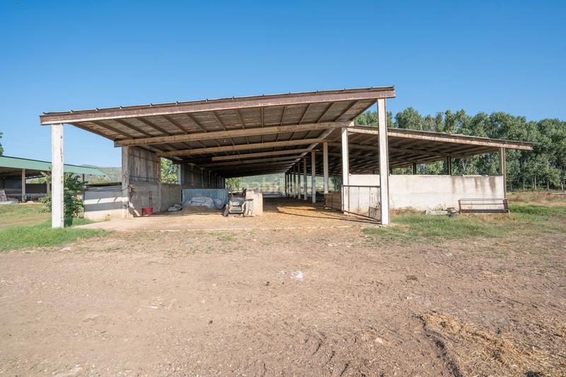 Foto d07db965-1afa-4636-8d3d-740b392d4dd3. Finca rústica a tv-3313 137 a Ulldecona