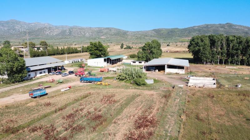 Foto dc4406c6-157b-4154-ace5-3e96e9ee387c. Finca rústica a tv-3313 137 a Ulldecona