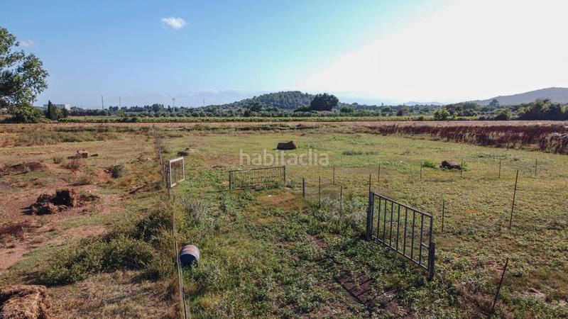 Foto ec0ce825-0051-4ea0-91b4-a4bb0129be2b. Finca rústica a tv-3313 137 a Ulldecona