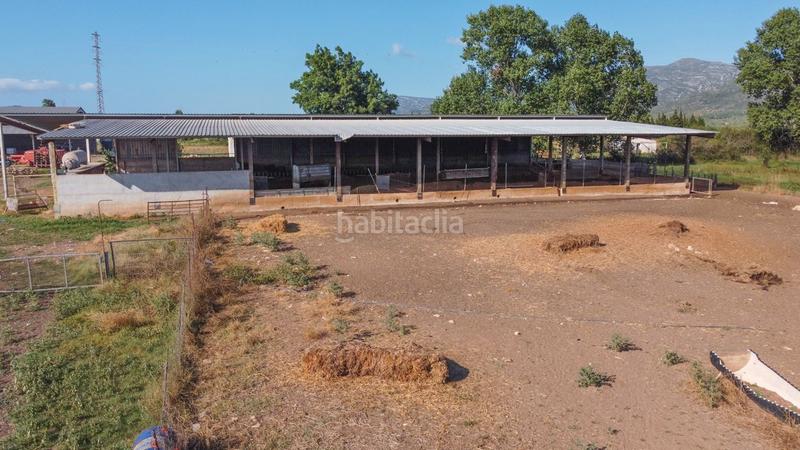 Foto f6d75f55-8230-4315-8885-c833450e4235. Finca rústica a tv-3313 137 a Ulldecona
