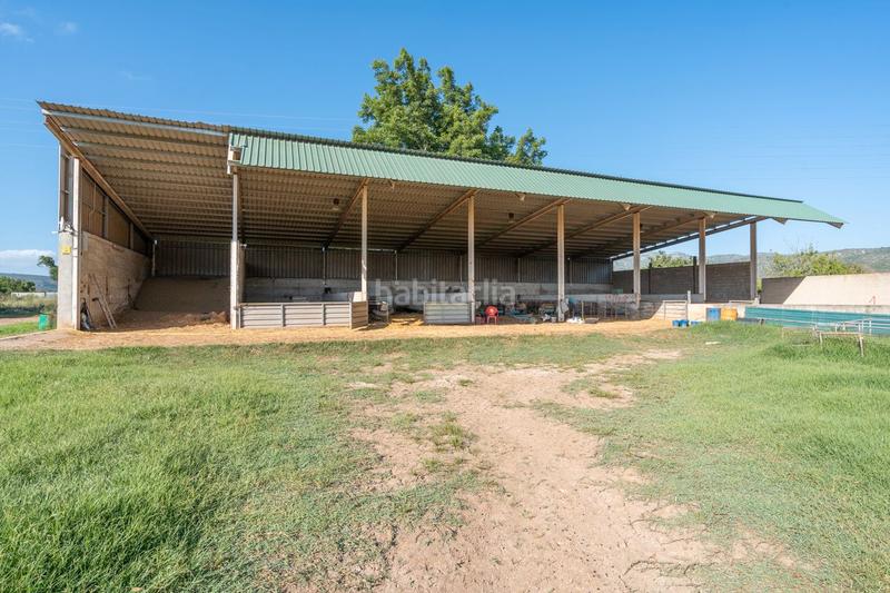 Foto fc45cc63-5d9a-4dfd-80ea-f167b436ef8f. Finca rústica a tv-3313 137 a Ulldecona