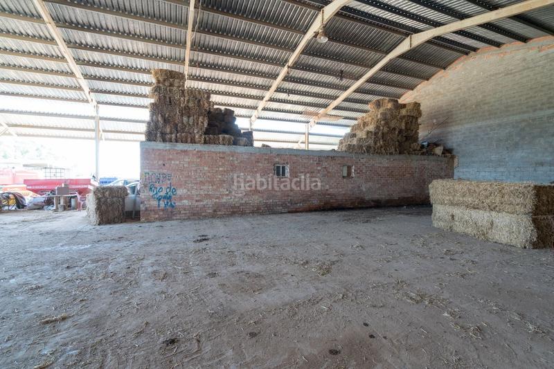 Foto feba8150-f1d2-4517-ab02-97dc647c719d. Finca rústica a tv-3313 137 a Ulldecona