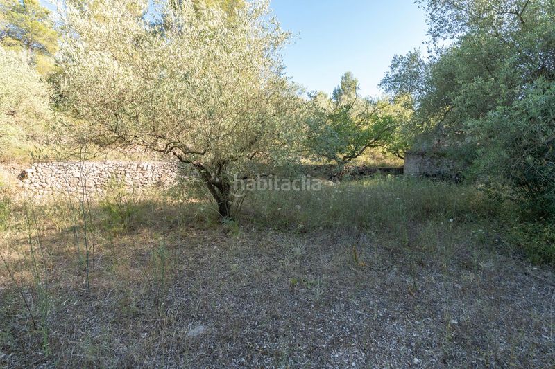 Foto 0b92d0b4-4333-487f-99f9-ea3328d03b58. Finca rústica a carretera tortosa 3 a Mas de Barberans