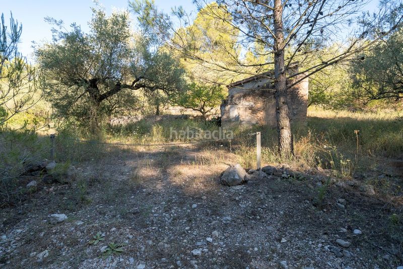 Foto 4cd4553b-4a75-4029-a49a-606b77c9c3f0. Finca rústica a carretera tortosa 3 a Mas de Barberans