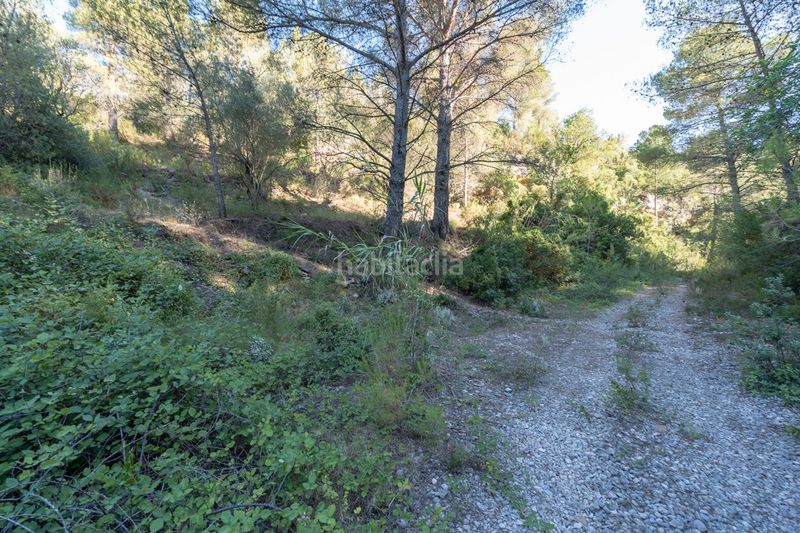 Foto d995f008-7a8a-4e9a-a999-ec91799174ea. Finca rústica a carretera tortosa 3 a Mas de Barberans