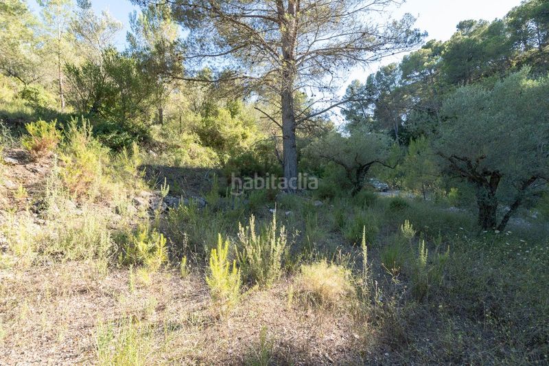 Foto ea7d75a8-7569-42ff-bd00-8f7072047dfd. Finca rústica a carretera tortosa 3 a Mas de Barberans