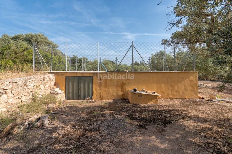 Foto 7928e14a-4327-4926-ae3b-422aeb8befd9. Landgut in vial camino 82 in Aldover