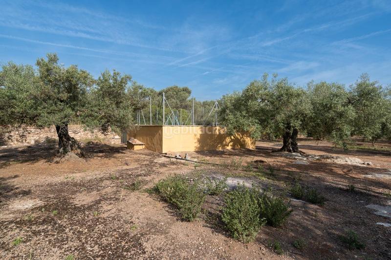 Foto 822ae049-985f-41cf-a1cc-24f7170cd7e7. Landgut in vial camino 82 in Aldover