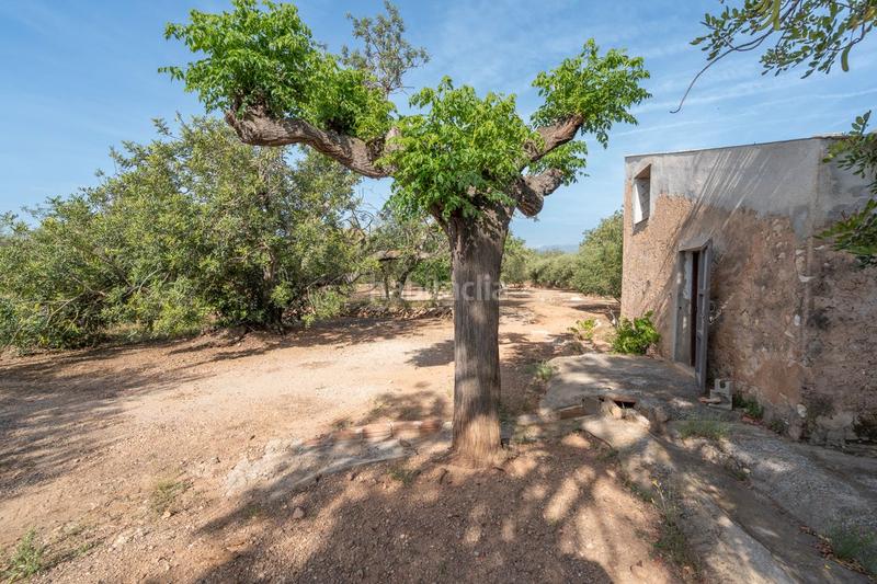 Foto b10b597d-3e96-4286-b92d-9c41b8f706dc. Landgut in vial camino 82 in Aldover