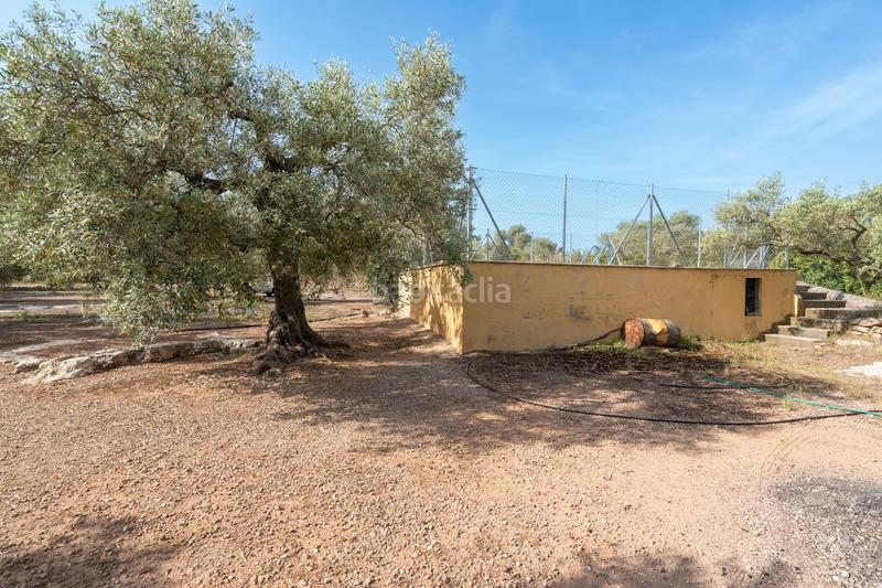 Foto d6e312f6-5a6b-41c9-bdb4-6f31cb20dd3e. Landgut in vial camino 82 in Aldover