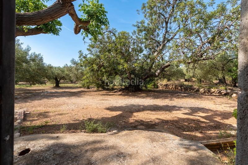 Foto dab2b7ce-e197-4fcc-b2f3-d76e6daa303d. Landgut in vial camino 82 in Aldover