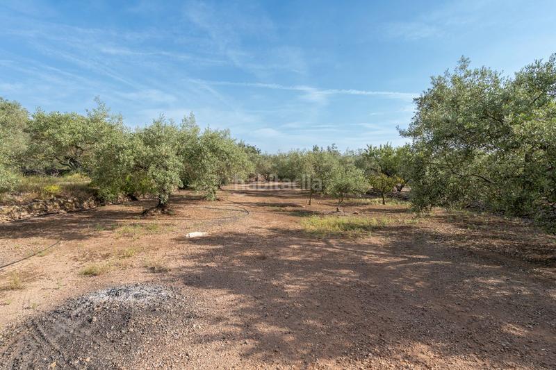 Foto fd3f4b31-b18c-408f-89f0-e6cf2c9e0b37. Landgut in vial camino 82 in Aldover