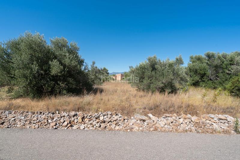 Foto 127414d4-fdf4-4c4e-9c5e-eeef63f70128. Fondo rustico in Jesús - Els Reguers Tortosa