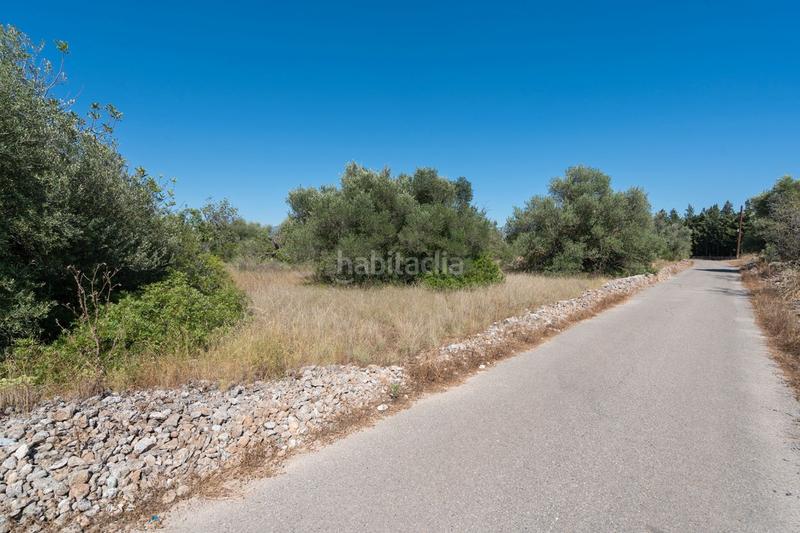 Foto 1492e5a3-4273-48a3-a404-f0646b6d2fdb. Fondo rustico in Jesús - Els Reguers Tortosa