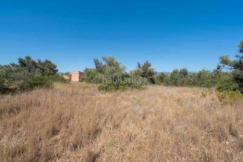 Foto 4a4c777e-242e-4b6d-8d51-c2669af27227. Fondo rustico in Jesús - Els Reguers Tortosa