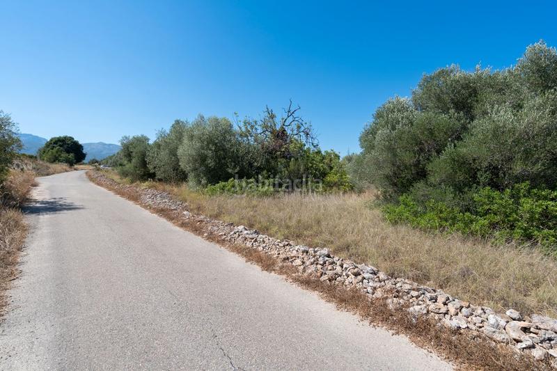 Foto 5c37d698-a093-476d-b458-97a8eb54ff14. Fondo rustico in Jesús - Els Reguers Tortosa