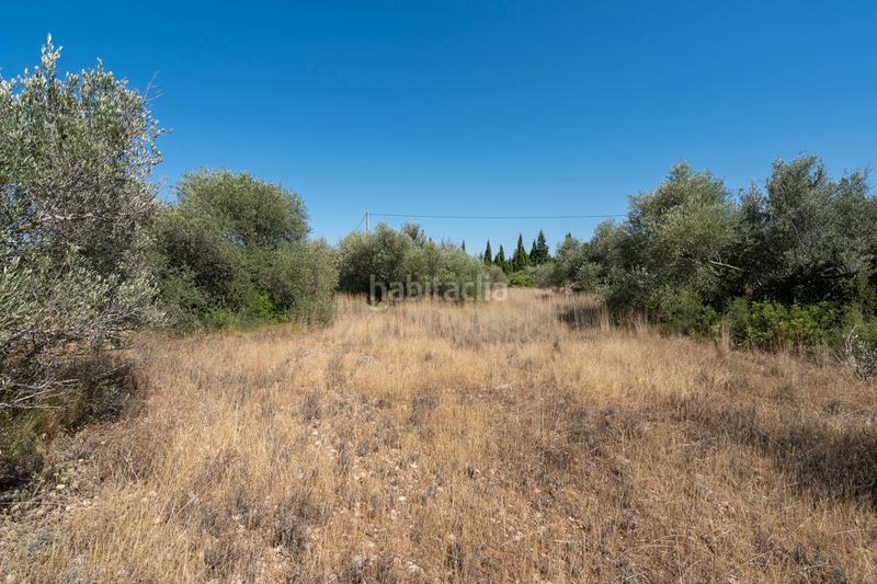 Foto 7d76316c-52a0-458c-ab9c-99cd72061491. Fondo rustico in Jesús - Els Reguers Tortosa