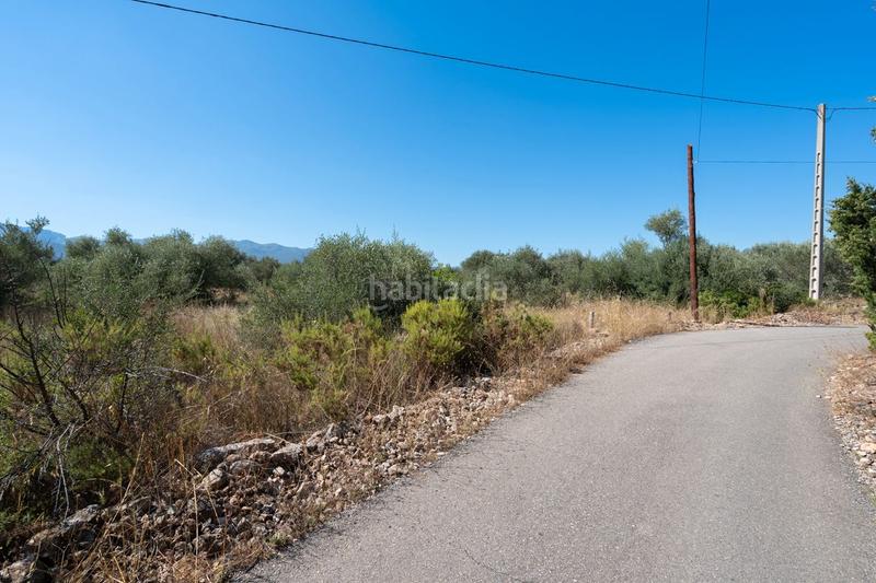 Foto d0704f43-dd65-44dc-87e2-b603a6608148. Fondo rustico in Jesús - Els Reguers Tortosa
