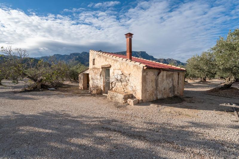 Foto 5476bbfa-9616-4444-8360-b745933ed701. Finca rústica a carrer diego de león 39 a Roquetes