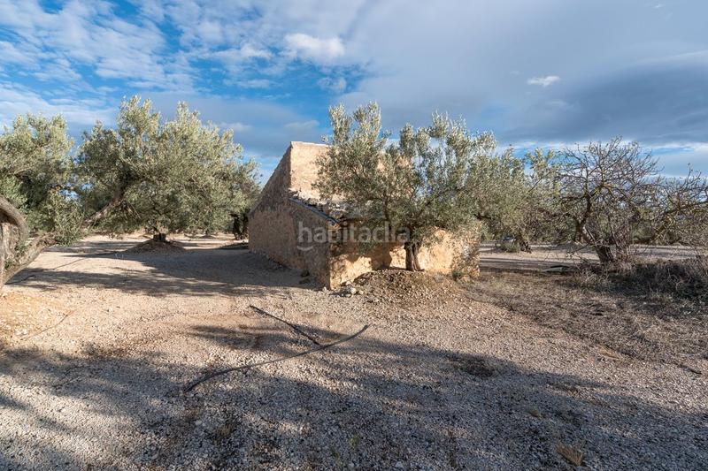 Foto 58993f59-caf8-437b-a900-db4a976f79fc. Finca rústica a carrer diego de león 39 a Roquetes