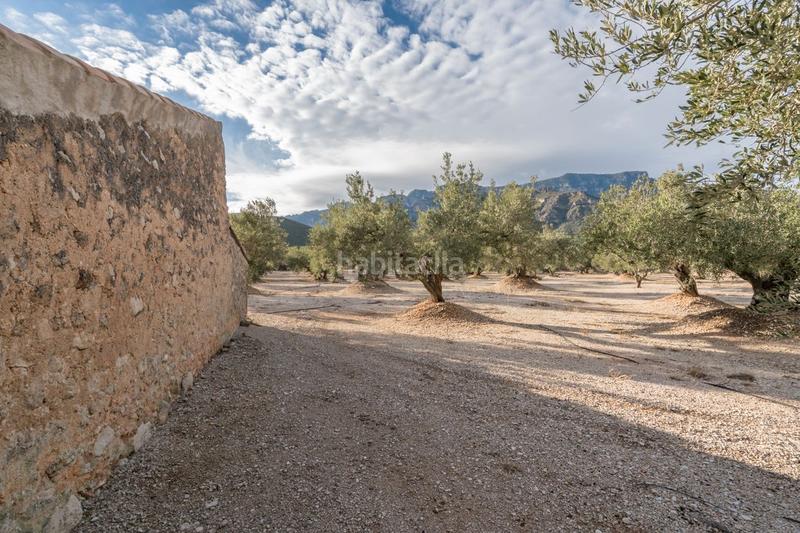 Foto 6630da4e-2dc0-4fc6-8659-55c08403b473. Finca rústica a carrer diego de león 39 a Roquetes