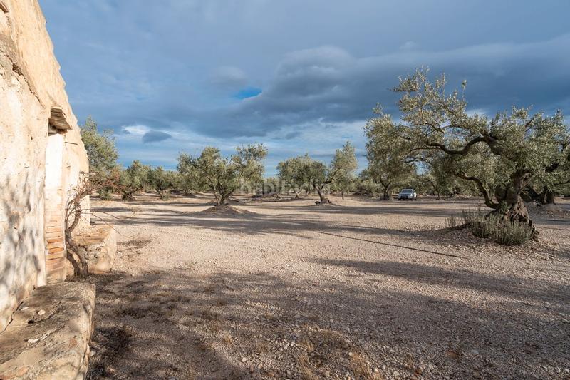Foto 6ccd88d3-bb02-4116-b6f5-ad90acd2da90. Finca rústica a carrer diego de león 39 a Roquetes