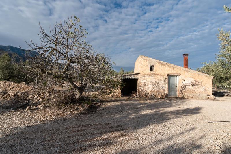 Foto 74e087de-83c5-4f63-af7b-c6d1fcce4ddd. Finca rústica a carrer diego de león 39 a Roquetes