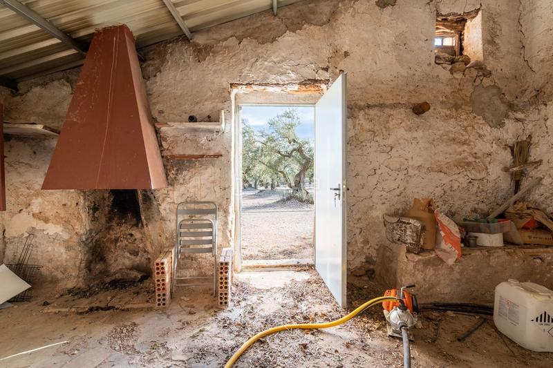 Foto ae6e5578-6e8a-4065-8921-ecd1667e35ad. Finca rústica a carrer diego de león 39 a Roquetes