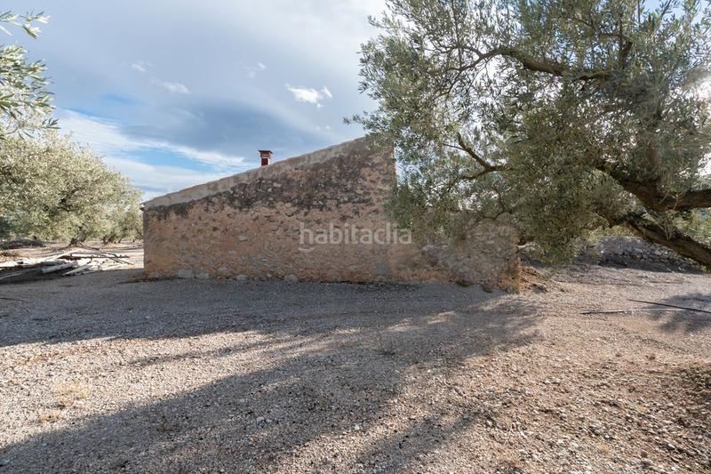 Foto cf8a213f-ab4c-478d-9575-f08ee5813968. Finca rústica a carrer diego de león 39 a Roquetes