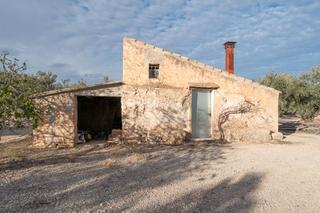 Rural plot in Carrer diego de león 39. Finca rústica de olivos con agua de riego