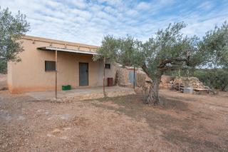 Rural plot in Avinguda terres de i'ebre 37. Finca de olivos con posibilidad de agua de riego