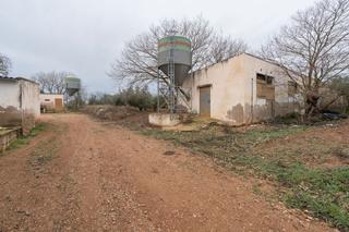 Rural plot in Carrer major 36. Tres almacenes en una finca rústica de olivos con luz y agua